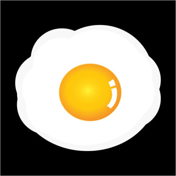 vector fried egg isolated