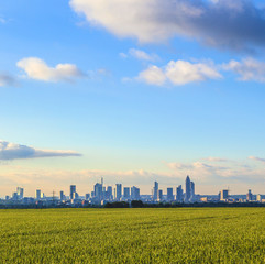 skyline of Frankfurt with fields in foreground