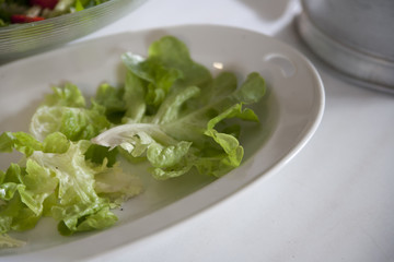 Grüner Salat