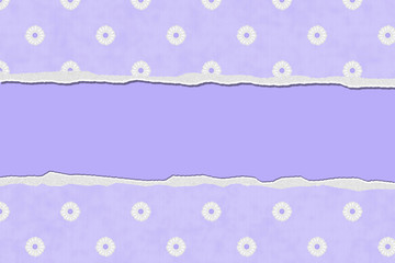 Pale Purple Flowered Torn Background for your message or invitat
