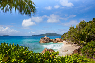 landscape with tropical beach