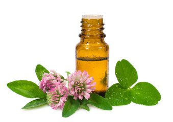 essential oil and blooming clover