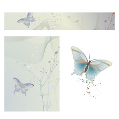 Vector background with a butterfly