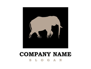 elephant design