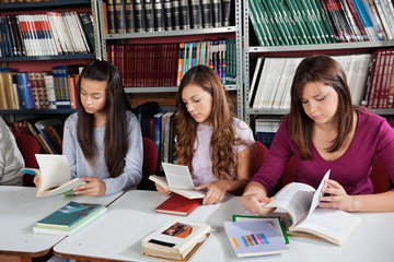 Schoolgirls Reading Books In Library
