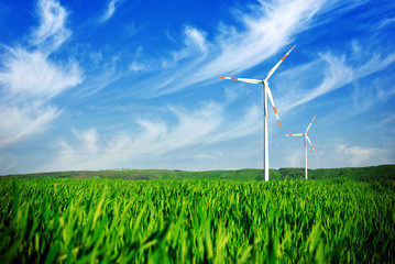 Wind energy turbines on the field