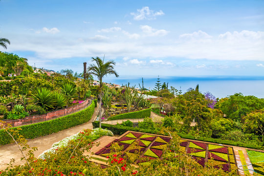 Botanical Garden, Funchal, Madeira