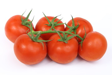Grappe de Tomates sur fond blanc