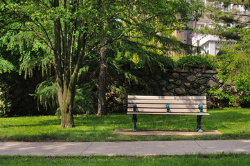 Bench in the park