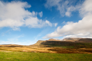 mountain full of red ferns, and green pastures