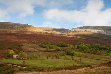 mountain full of red ferns, and green pastures