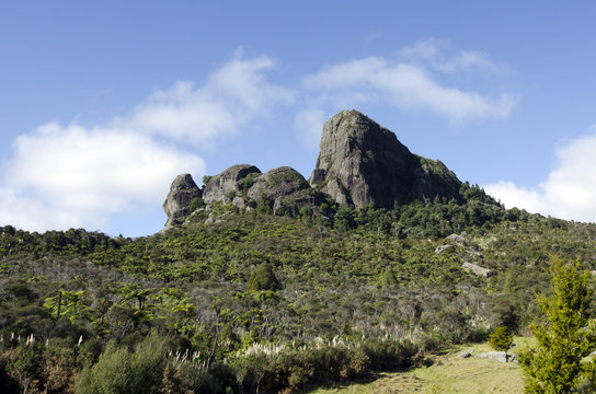 Mount Taratara - New Zealand