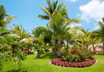 Keuken foto achterwand Zomer Beautiful tropical garden.