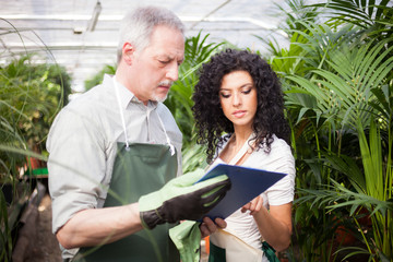 Workers examining plants