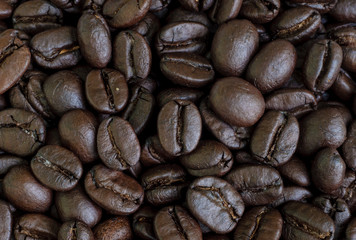 coffee beans seed