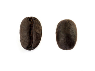 coffee beans seed .