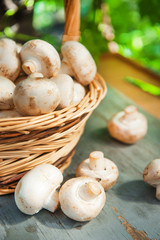 Fresh champignon mushrooms in a wicker basket