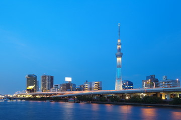 View of Tokyo Sky Tree