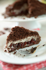 Cranberry-Creme-Torte