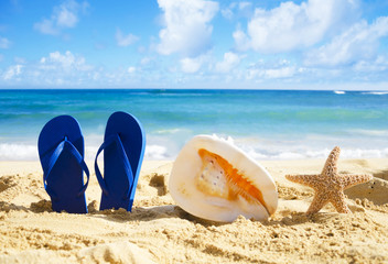 Flip flops, seashell and starfish on sandy beach
