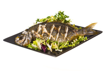 Salema porgy - sarpa fish