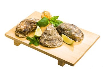 Fresh oyster