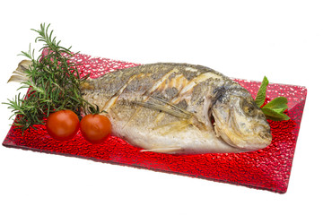 Dorado grilled
