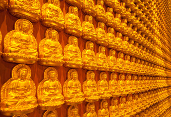 Fototapeta premium Image buddha