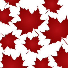 maple leaf isolated