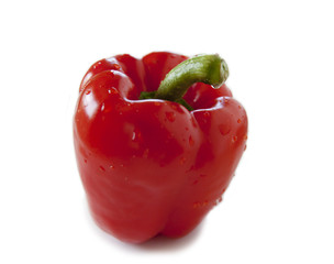 poivron rouge