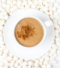 Closeup of cup of hot chocolate with small marshmallows resting