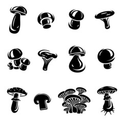 Mushroom set. Vector - obrazy, fototapety, plakaty