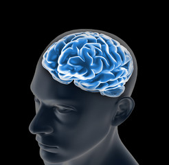Obraz premium Male anatomy of human brain
