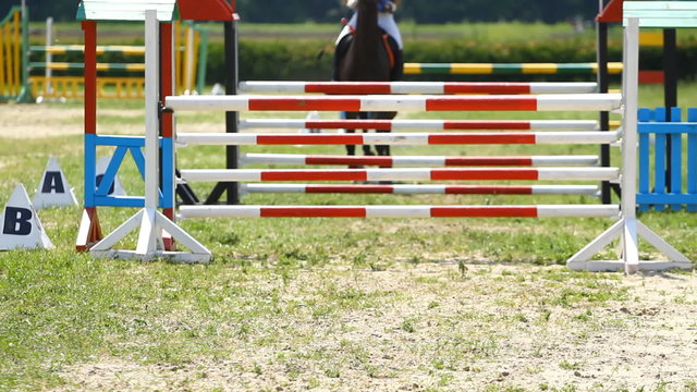 Horse jump a hurdle in competition