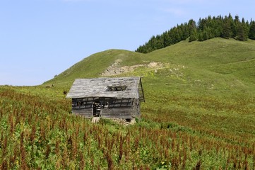 wooden old abandoned house