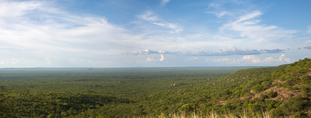 View of the forest, the horizon is Angola - obrazy, fototapety, plakaty