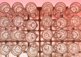 Colourless solution in test-tubes in a stand