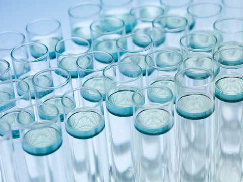 A group of test tubes with liquid