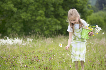 cute little girl harvesting flowers