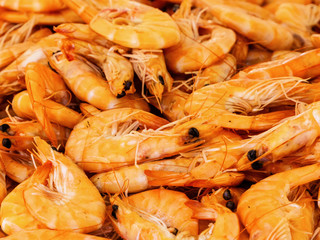 Fülle an Garnelen, Hintergrund