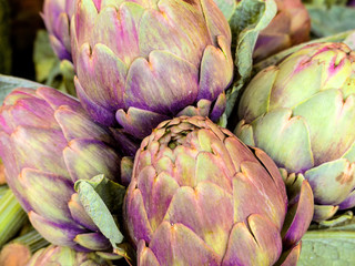 Obraz premium Frische Artischocken, Hintergrund