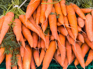 Frische Karotten auf dem Markt