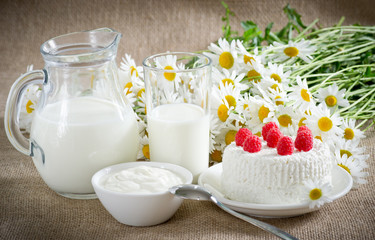Obraz na płótnie Canvas Cottage cheese with raspberries, sour cream and milk