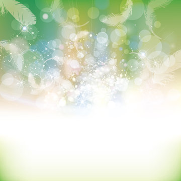feather background