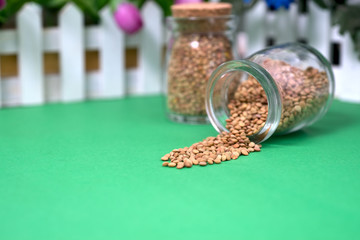 lentil seeds in small glass jar