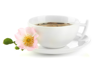 Cup of herbal tea with hip rose flowers, isolated on white