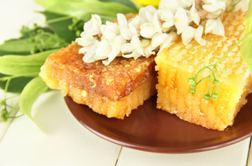 Honeycombs with flowers of lime, acacia
