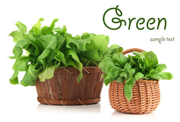 Naklejka premium Fresh herbs in baskets isolated on white