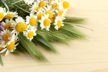 Green spikelets and wild camomiles, on wooden background