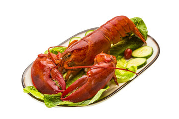 Large Lobster